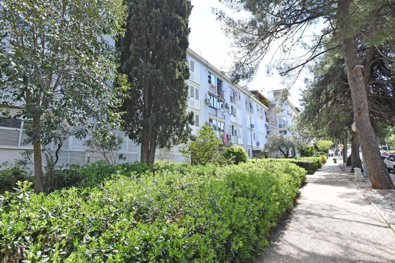 Demass Apartment - Cozy, Free Parking And Wifi ドゥブロブニク エクステリア 写真