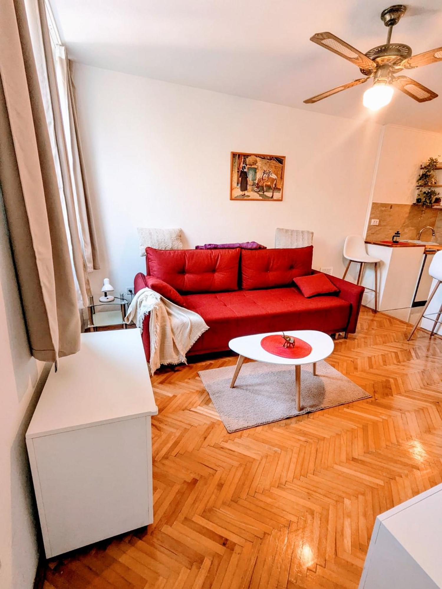 Demass Apartment - Cozy, Free Parking And Wifi ドゥブロブニク エクステリア 写真