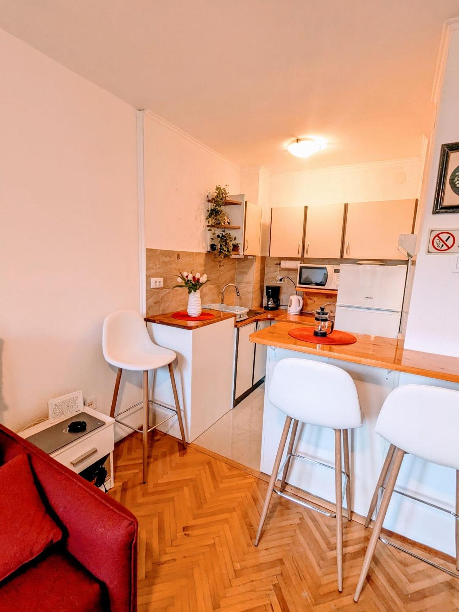 Demass Apartment - Cozy, Free Parking And Wifi ドゥブロブニク エクステリア 写真