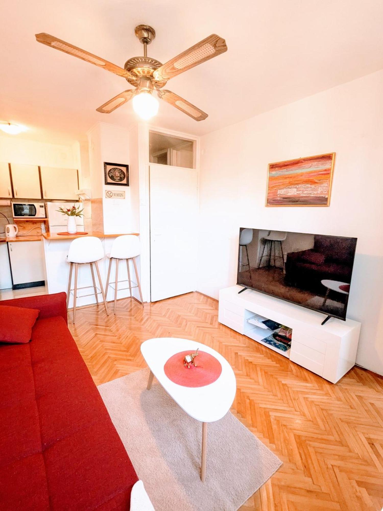 Demass Apartment - Cozy, Free Parking And Wifi ドゥブロブニク エクステリア 写真