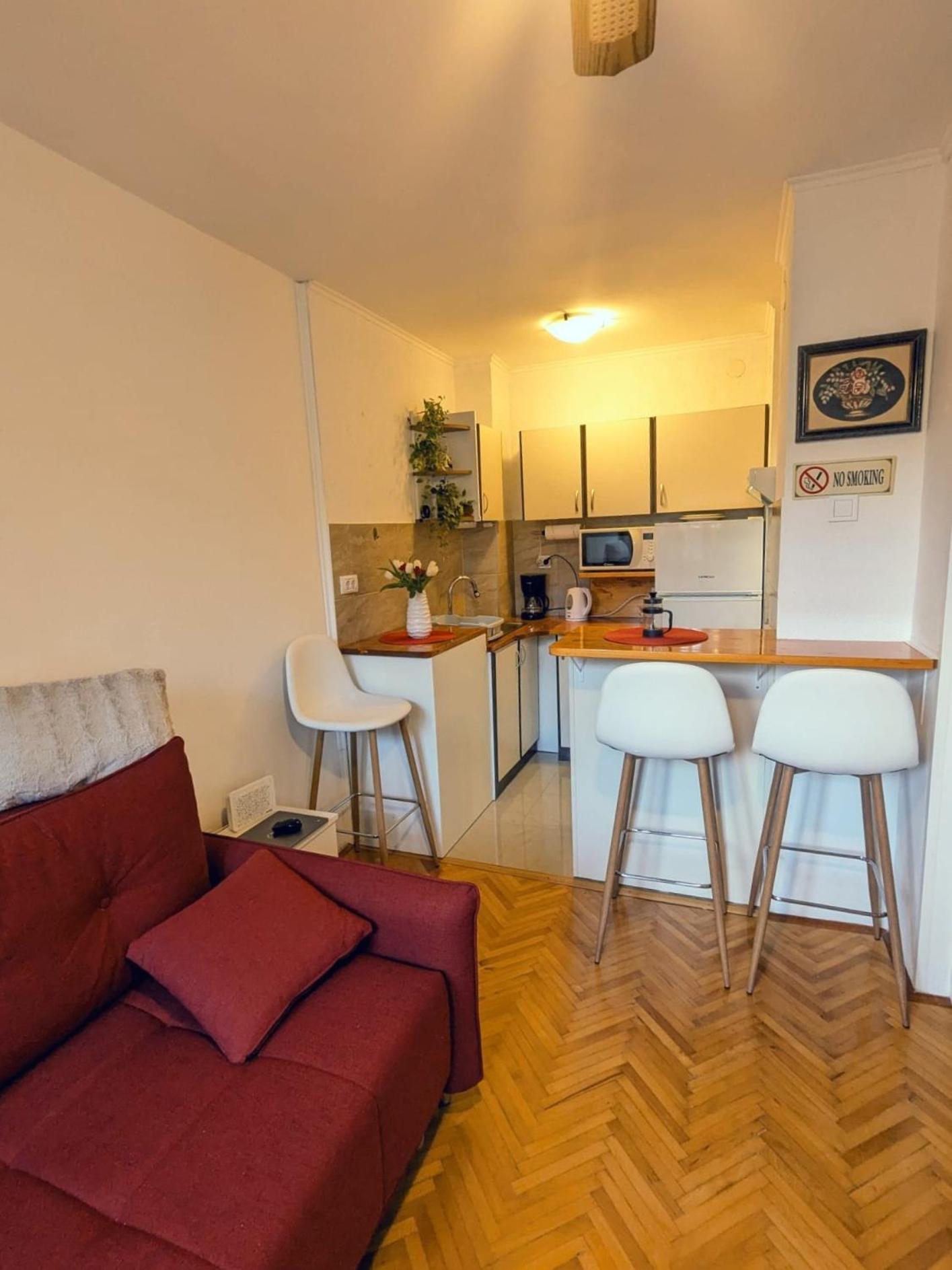 Demass Apartment - Cozy, Free Parking And Wifi ドゥブロブニク エクステリア 写真