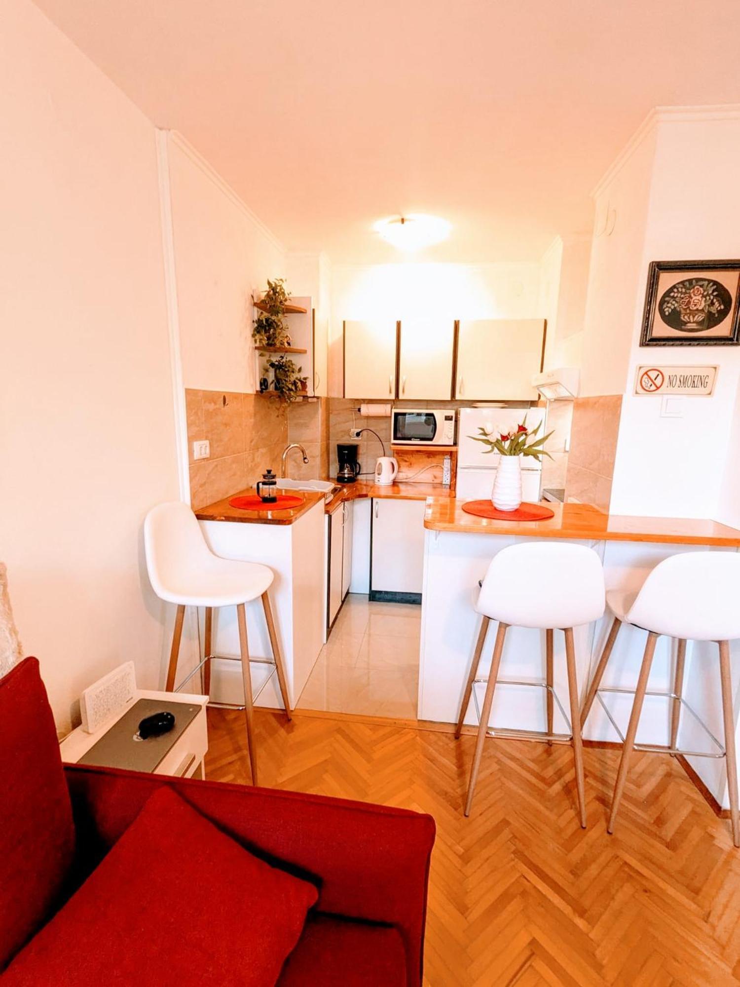 Demass Apartment - Cozy, Free Parking And Wifi ドゥブロブニク エクステリア 写真